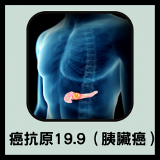 癌抗原19.9 （胰臟癌）